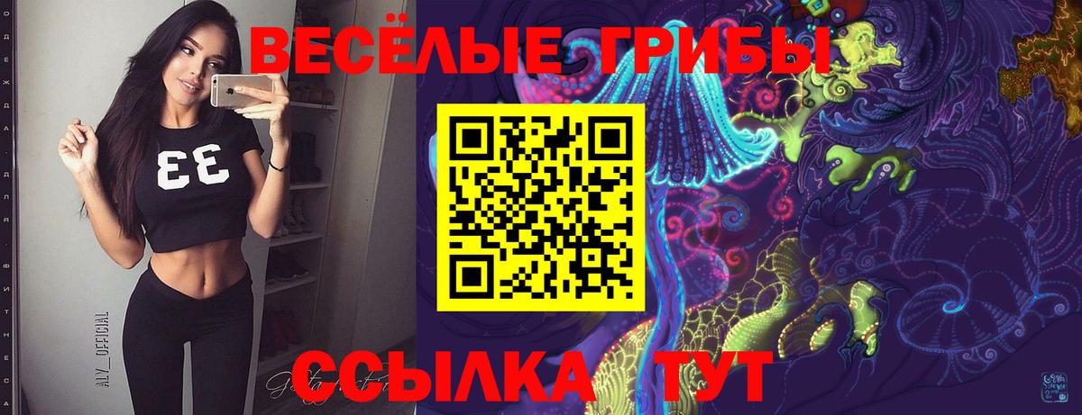 Киселёвск  как найти наркотики  Галлюциногенные грибы MAGIC MUSHROOMS  Вход с VPN  Галлюциногенные грибы GOLDEN TEACHER 